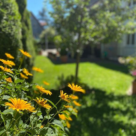 Hotel Villa Solln Munchen Bagian luar foto