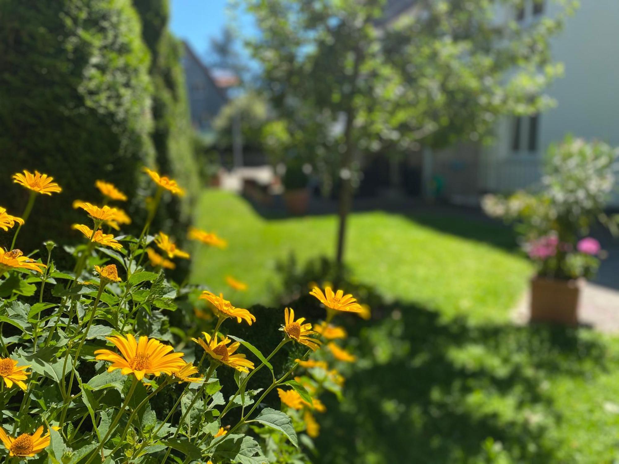 Hotel Villa Solln Munchen Bagian luar foto